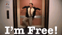 Im Free GIF - Andy Bernard The Office Im Free GIFs