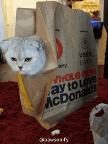 Mcdonalds Cat GIF - Mcdonalds Cat Silly Cat GIFs