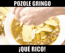 gringo garten