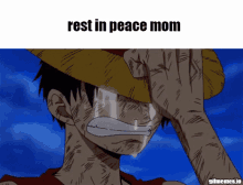 Luffy Rip GIF - Luffy Rip Rest In Peace GIFs