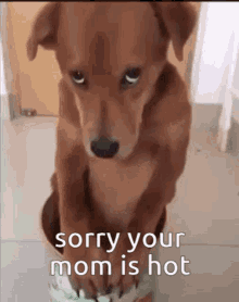 Sorry Youre Welcome GIF - Sorry Youre Welcome Mom GIFs