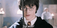 You Wish Harry Potter GIF - You Wish Harry Potter Daniel Radcliffe GIFs