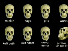 sukamara skull smokers skull