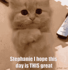 Stephanie Hope GIF - Stephanie Hope Day GIFs