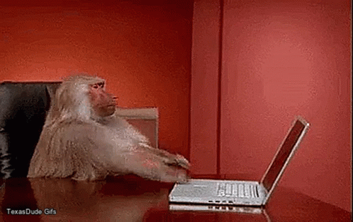 monkey-computer.gif