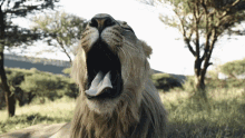 Roar Dean Schneide GIF - Roar Dean Schneide Lion GIFs