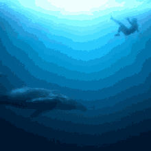 swimming under water selena gomez rauw alejandro baila conmigo song swimming with a whale
