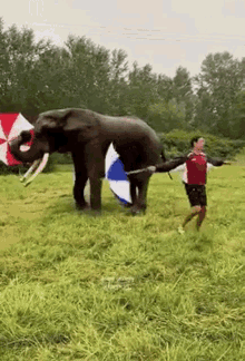 elephant twirl spin fun umbrella