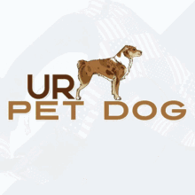 Best Led Dog Collar Dog Collar Leather GIF - Best Led Dog Collar Dog Collar Leather Cute GIFs