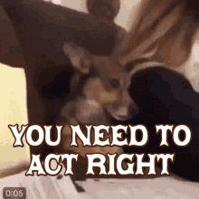 Act Right You Need To Act Right GIF - Act Right You Need To Act Right Judging You GIFs