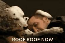 Dognigh Roofroof GIF - Dognigh Roofroof Doggie GIFs