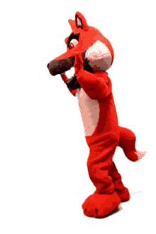 red canids red rufus matilha matilha vermelha red canids red rufus matilha matilha vermelha