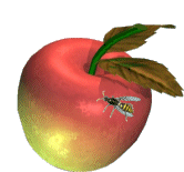 Apple Fruit Sticker - Apple Fruit Spinboi Stickers