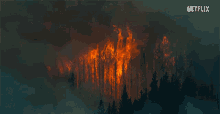 Flames Raging Fire GIF - Flames Raging Fire Fire GIFs