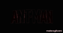 Marvel Marvel Cinematic Universe GIF - Marvel Marvel Cinematic Universe Ant Man GIFs