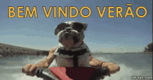 Verão Cachorro Bemvindo Jetski GIF - Summer Dog Welcome GIFs