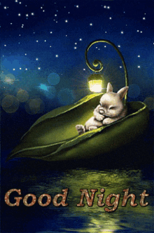 Good Night Rabbit GIF - Good Night Rabbit Bunny GIFs