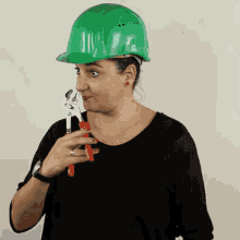 Handyman Pliers GIF - Handyman Pliers Kleště GIFs