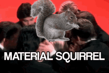 material squirrel material squirrel isachailfunimoment