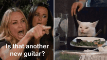Ylia Callan Guitar Guitar Cat Memes GIF - Ylia Callan Guitar Guitar Cat Memes Guitar Memes GIFs