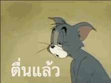ตื่นแล้ว GIF - Tom And Jerry Im Up Woke Up GIFs