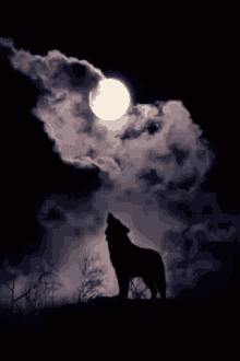 Howling Wolf GIF - Howling Wolf Full Moon GIFs