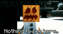 Minecraft Nothing To See Here GIF - Minecraft Nothing To See Here Video Games GIFs