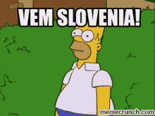 Vem Slovenia Slovenian GIF - Vem Slovenia Slovenia Slovenian GIFs