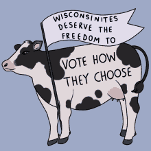 Cow Milk GIF - Cow Milk Wisconsin Cheese GIFs