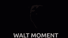 Walt Moment Walt GIF - Walt Moment Walt GIFs
