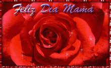 feliz dia mama dia de las madres 10de mayo