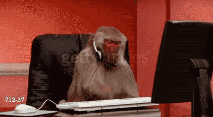 baboon-computer.gif