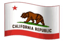 California Flag GIF - California Flag Bear GIFs
