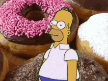 Donuts Homer Simpson GIF - Donuts Homer Simpson Disappear GIFs