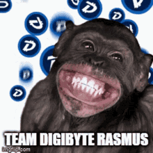 Team Rasmus Team Digibyte Rasmus GIF - Team Rasmus Team Digibyte Rasmus GIFs