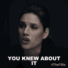 You Knew About It Special Agent Maggie Bell GIF - You Knew About It Special Agent Maggie Bell Missy Peregrym GIFs