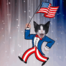 Tuxedo Cat Uncle Sam GIF - Tuxedo Cat Uncle Sam 4th Of July GIFs