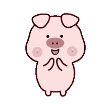 pig adorable
