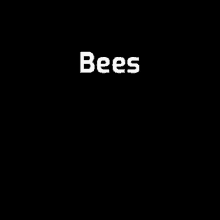 Subtitlebee Bees GIF - Subtitlebee Bees Bee GIFs