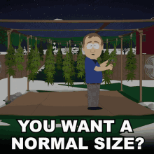 You Want A Normal Size Or A Big Fatty Jack Garrett GIF - You Want A Normal Size Or A Big Fatty Jack Garrett What Size Do You Want GIFs
