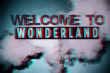 Hurricane Party Welcome To Wonderland GIF - Hurricane Party Welcome To Wonderland GIFs