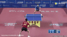 angry cho le ping pong table tennis