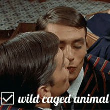 Wild Caged Animal GIF - Wild Caged Animal GIFs