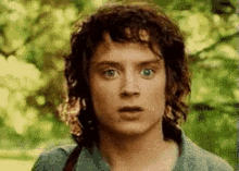 Frodo Lord Of The Rings GIF - Frodo Lord Of The Rings Elijah Wood GIFs