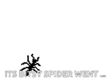 Ant Losinj69 GIF - Ant Losinj69 Spider GIFs