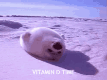 Vitamin D Time GIF - Vitamin D Vitamin D Time Sun Bathing GIFs