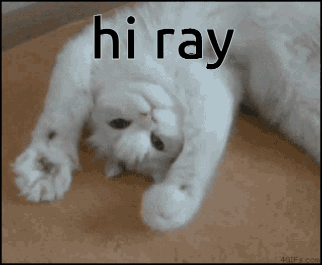 Hi Ray GIF - Hi Ray GIFs