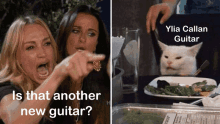 Women Yelling At Cat Is That Another New Guitar GIF - Women Yelling At Cat Is That Another New Guitar Guitar Cat Memes GIFs