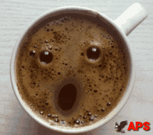 kafe caffe coffee shqiponja aps