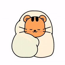 animal cozy